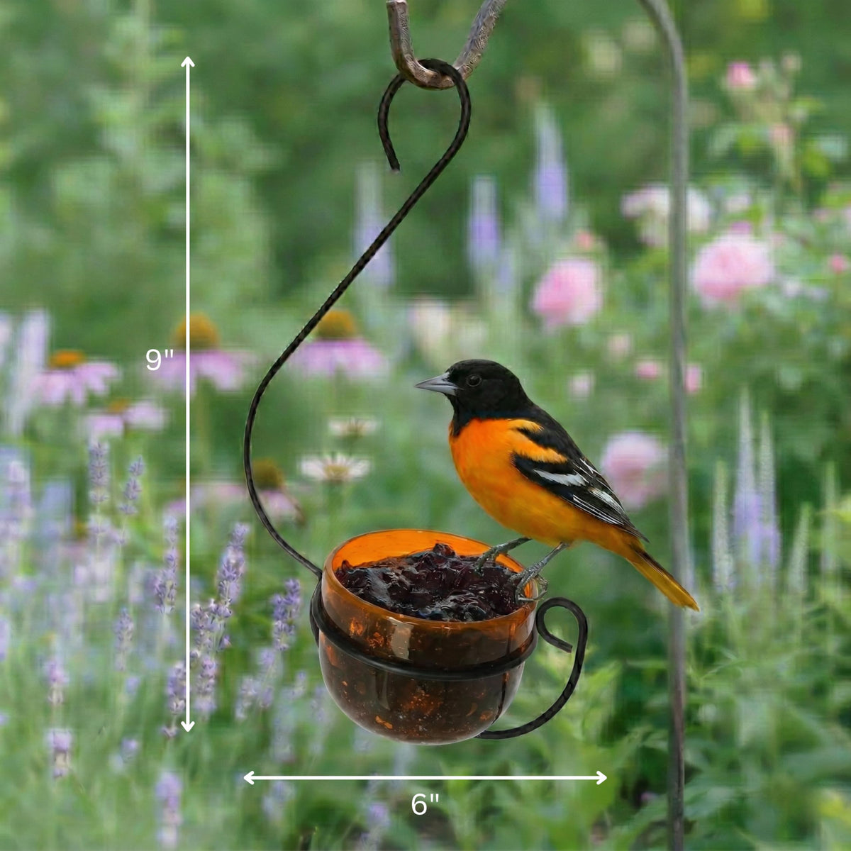 Backyard Essentials Oriole Jelly Feeder lifts out for quick rinse