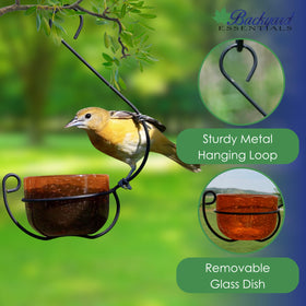 Backyard Essentials Oriole Jelly Feeder decorative hanging hook highlights the feeder in gardens