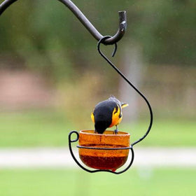 Backyard Essentials Oriole Jelly Feeder hangs easily from shepherd's hook