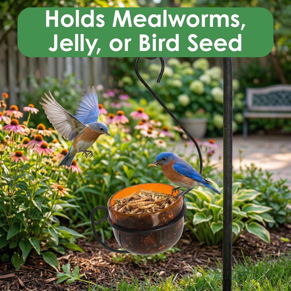 Backyard Essentials Oriole Jelly Feeder removable cup simplifies cleaning and refilling