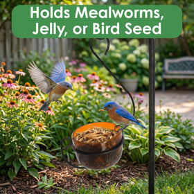 Backyard Essentials Oriole Jelly Feeder removable cup simplifies cleaning and refilling