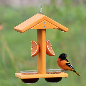 Backyard Essentials oriole feeder setup hangs from a hook near fruit trees.