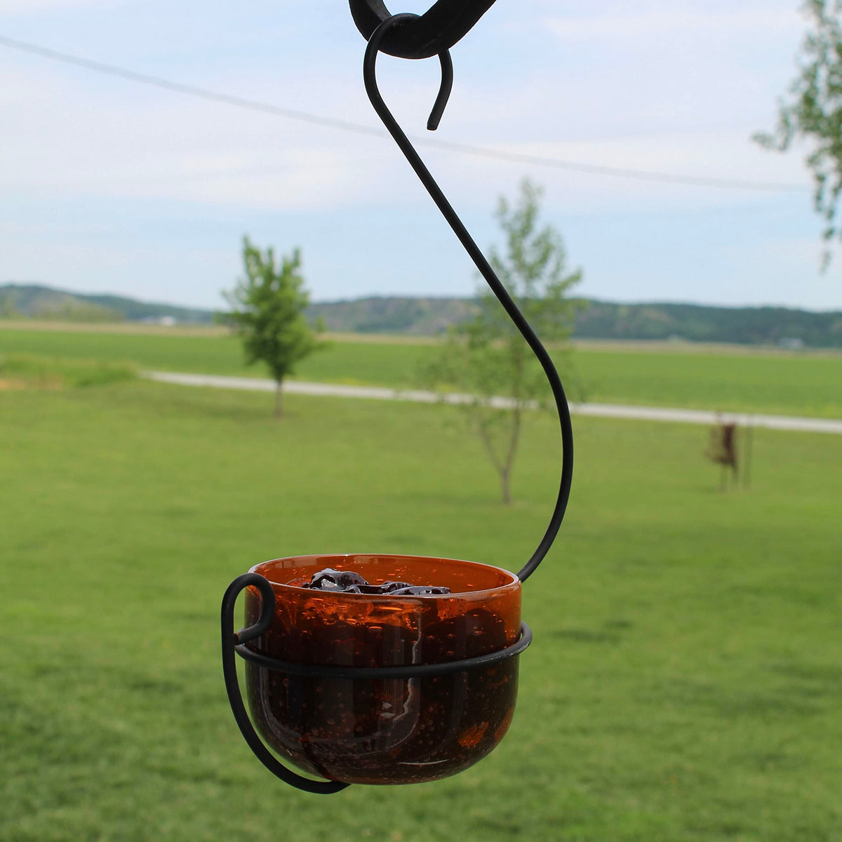 Backyard Essentials Oriole Jelly Feeder sunlit bubbled glass bowl