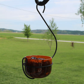 Backyard Essentials Oriole Jelly Feeder sunlit bubbled glass bowl