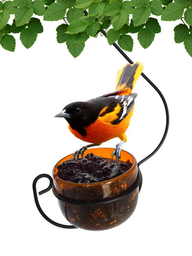 Backyard Essentials Oriole Jelly Feeder orange glass bowl attracts Baltimore orioles with bright color