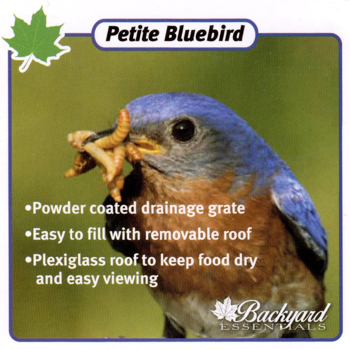 Backyard Essentials Quick-drain tray keeps feeding area tidy and dry.