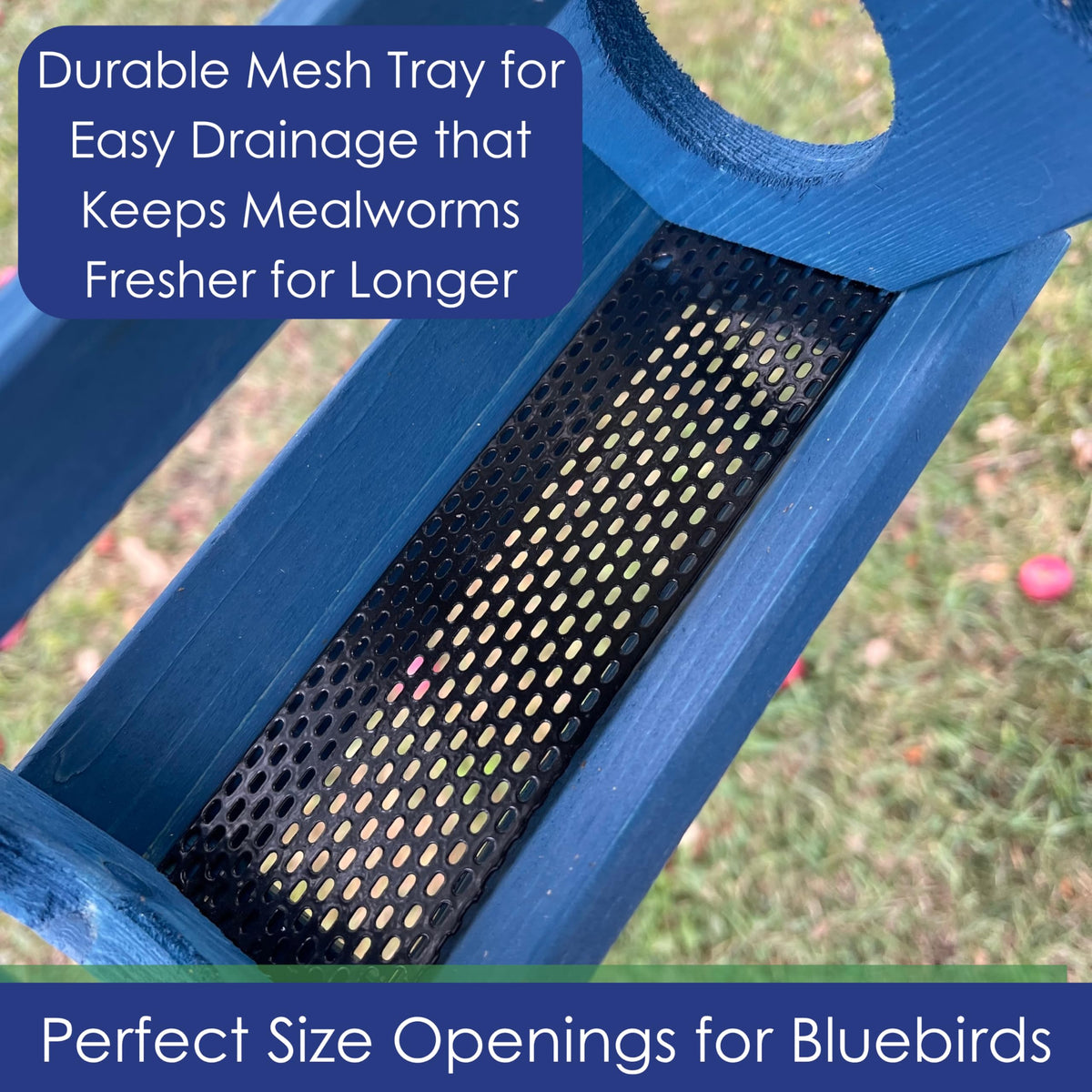 Backyard Essentials Feeder with removable Plexiglass Roof makes refilling quick and tidy.