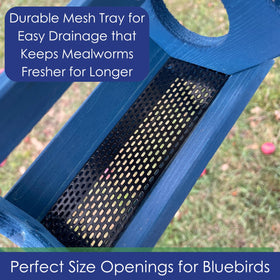 Backyard Essentials Feeder with removable Plexiglass Roof makes refilling quick and tidy.