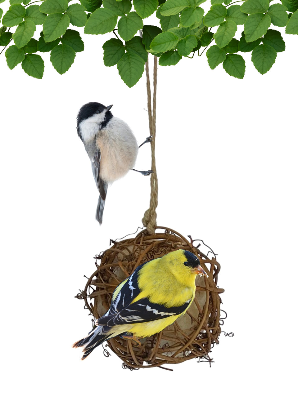 Backyard Essentials round vine nesting ball with alpaca wool ideal for natural nest lining.