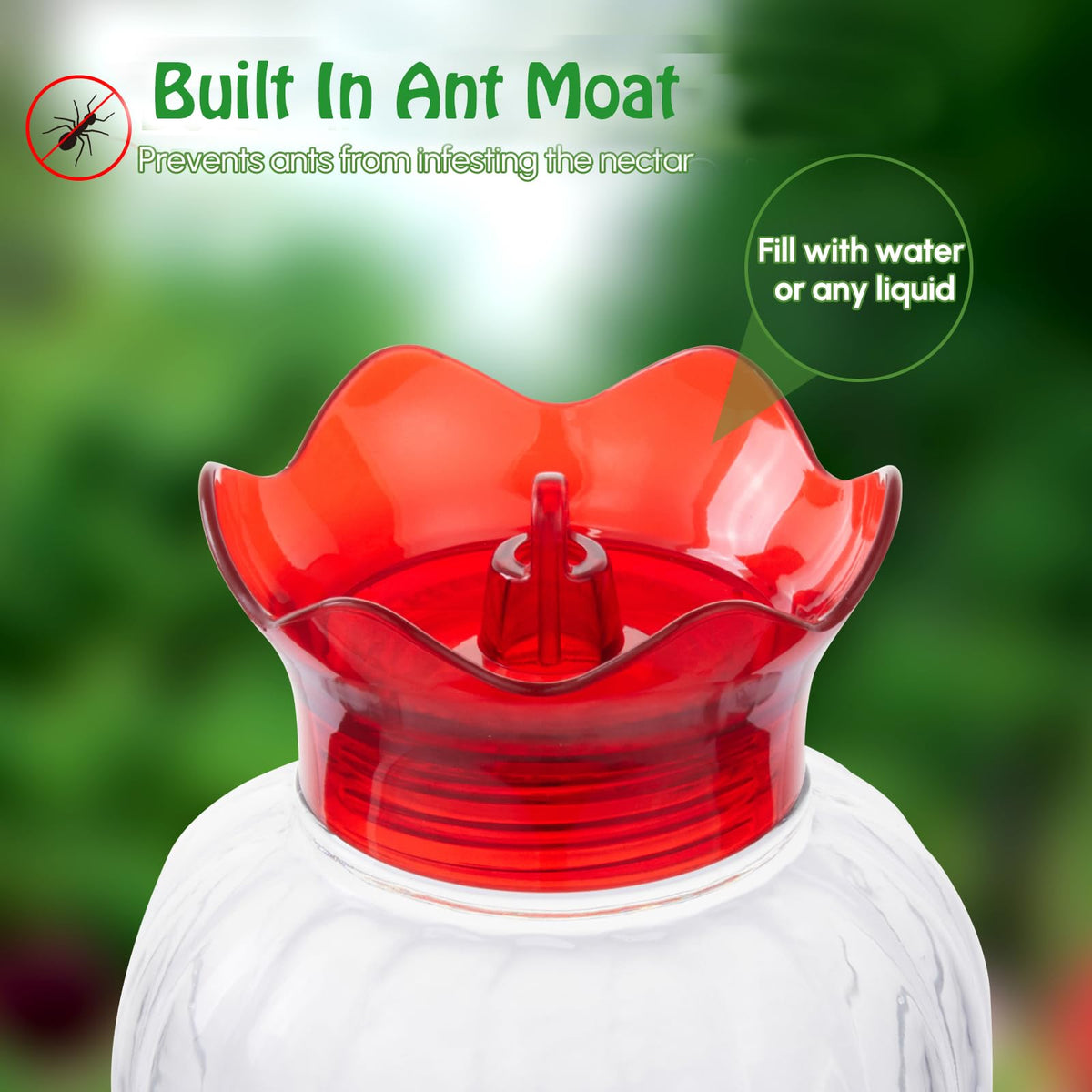 Backyard Expressions hummingbird feeder ant moat detail top view highlighting insect deterrence.