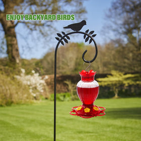 BACKYARD EXPRESSIONS hummingbird feeder with ant moat keeps nectar clean and accessible to hummingbirds.
