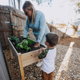 Backyard Expressions wooden raised garden bed side view, sturdy outdoor construction