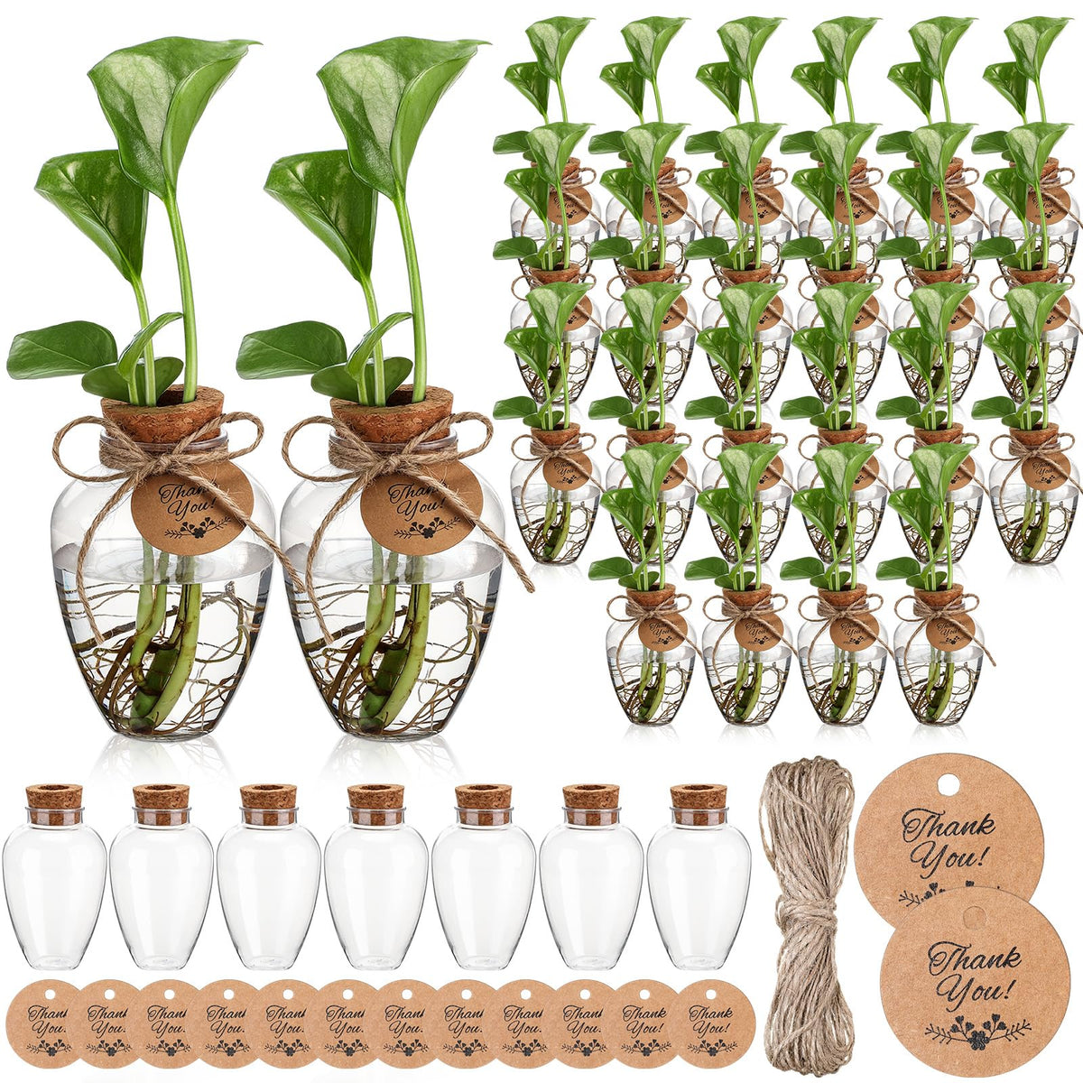 Baderke 24-pack propagation bottles with clear view for easy root growth monitoring