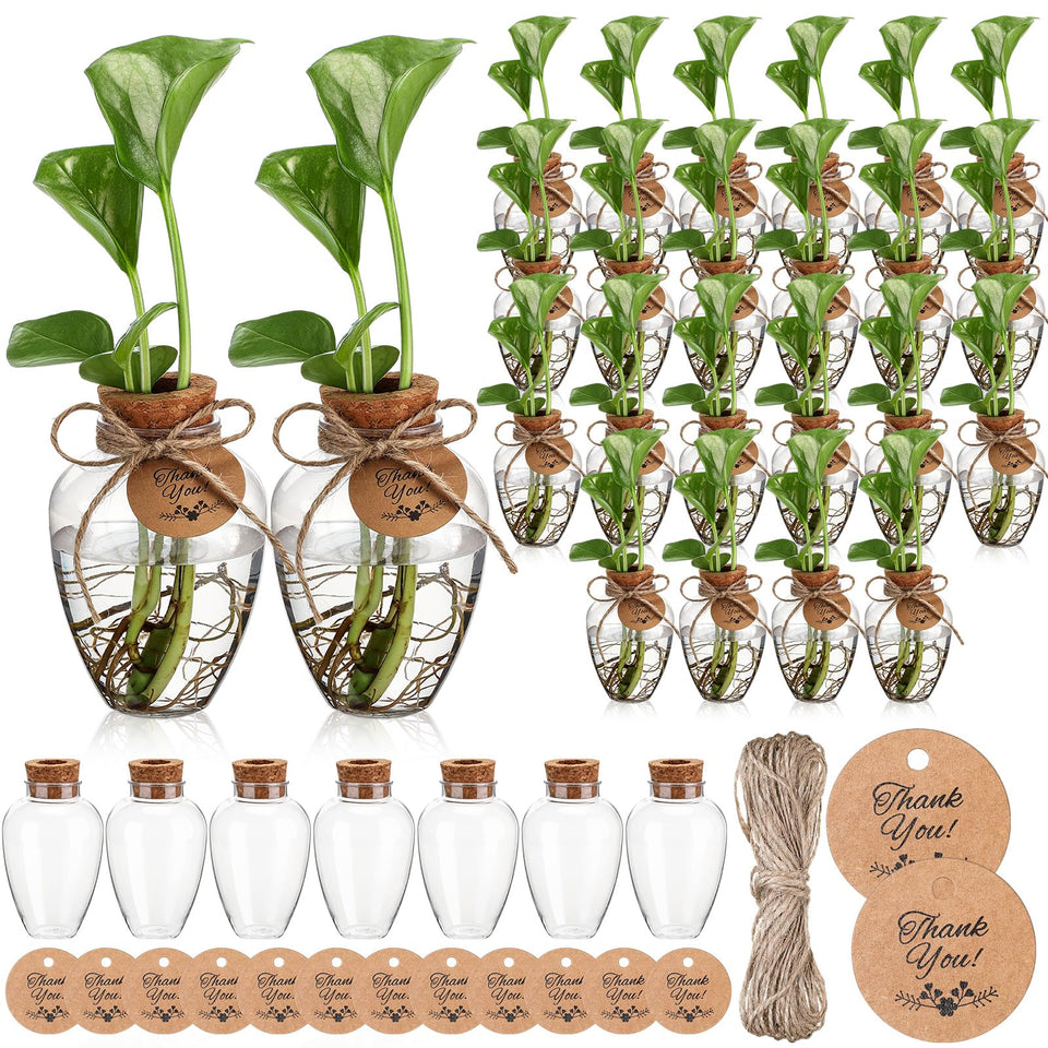 Baderke 24-pack propagation bottles with clear view for easy root growth monitoring