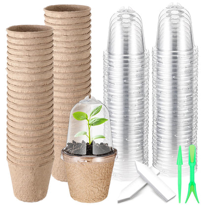 Baderke biodegradable nursery pots with drainage holes designed for easy seedling starts.