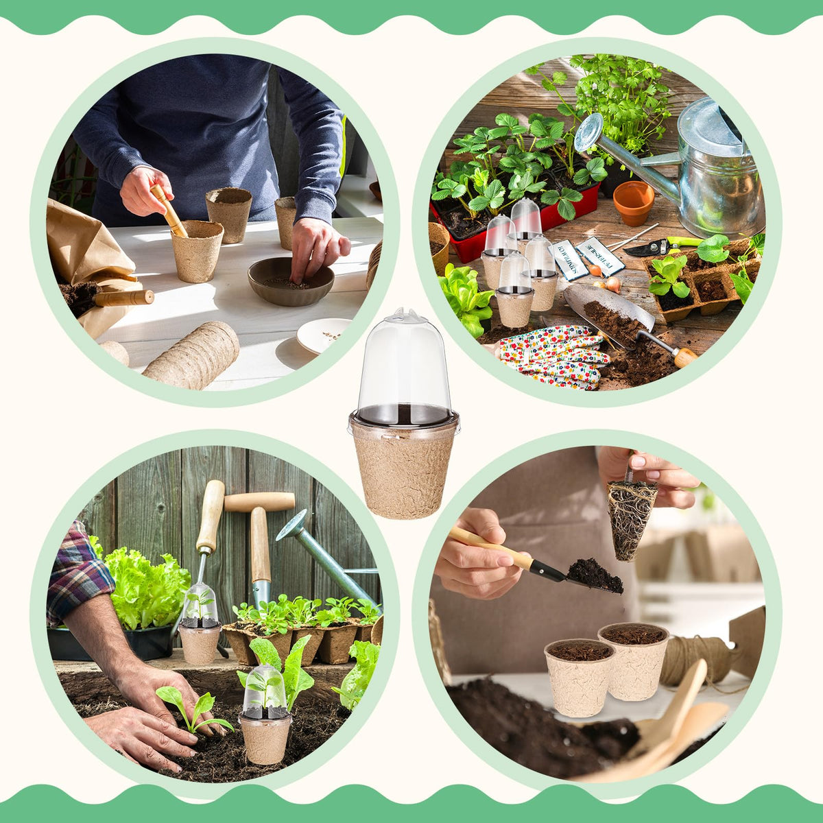Baderke biodegradable seed starter kit supports eco‑friendly gardening projects.