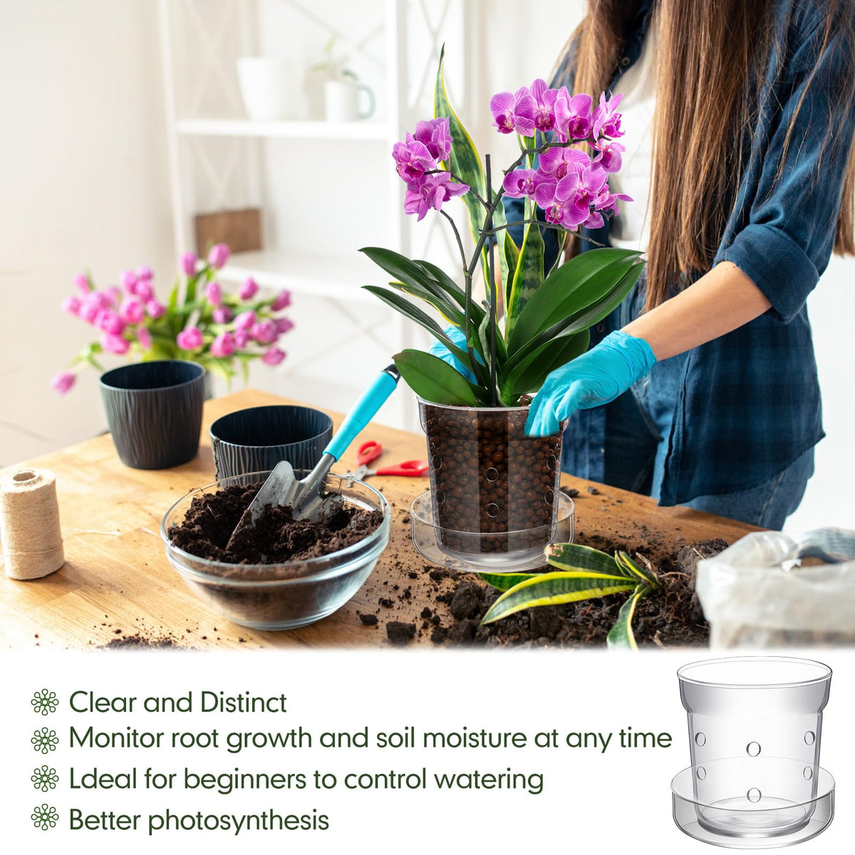 Baderke breathable design glass pot promotes airflow for plants