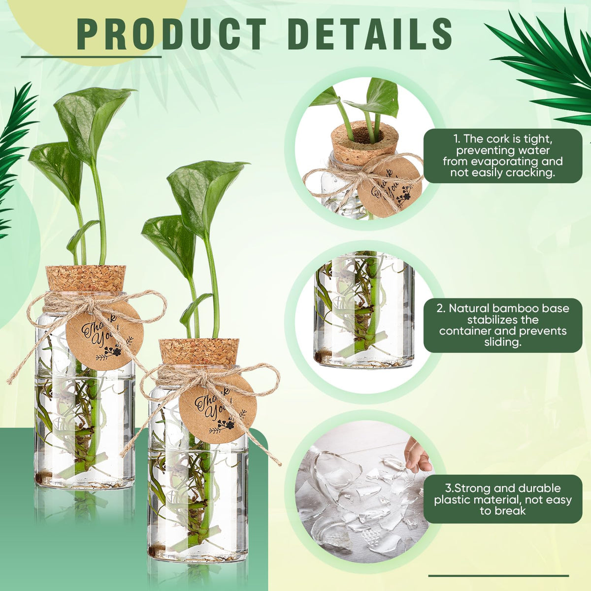 Baderke clear 4oz propagation jar shows water level and roots.