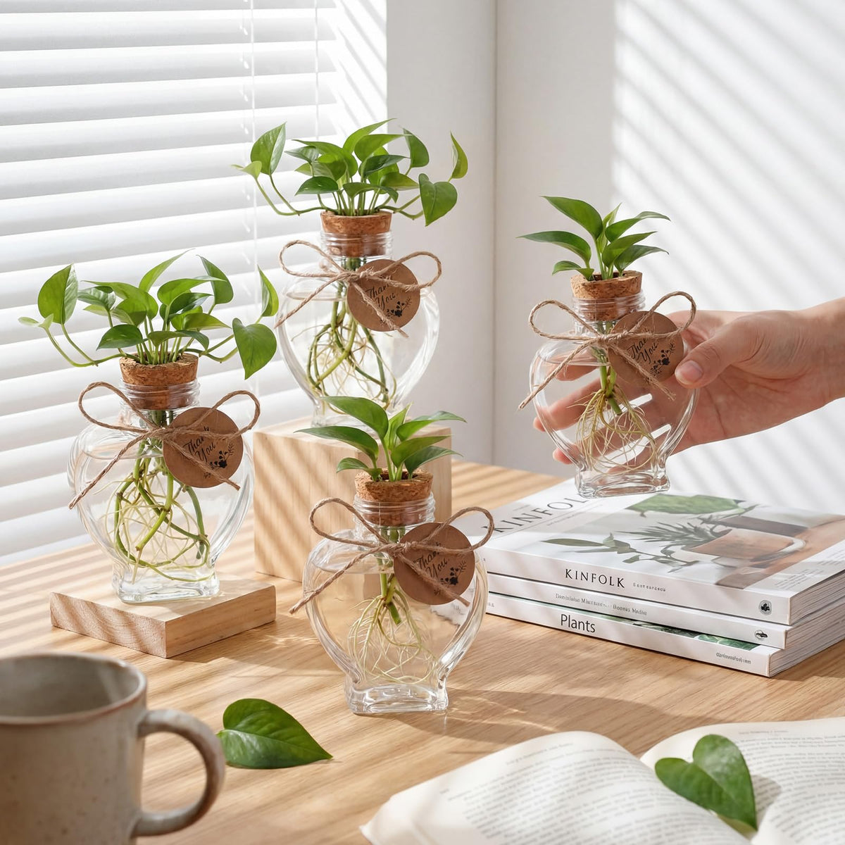 Baderke clear 5oz propagation bottle showing water level at a glance.