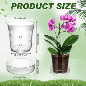 Baderke clear glass orchid pot showing root visibility