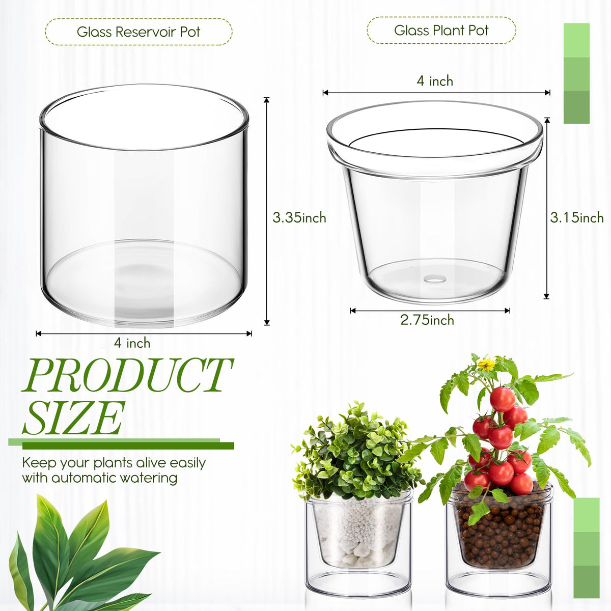 Baderke 4-inch self-watering pot with water reservoir for easy care