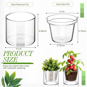 Baderke 4-inch self-watering pot with water reservoir for easy care