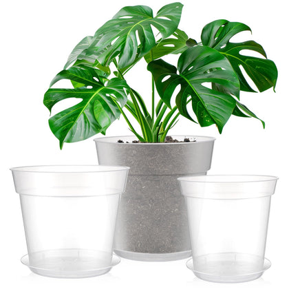 Baderke 8-inch clear nursery pot with drainage holes supporting healthy root development
