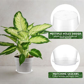 Baderke clear plant pot with tray for organized indoor gardening