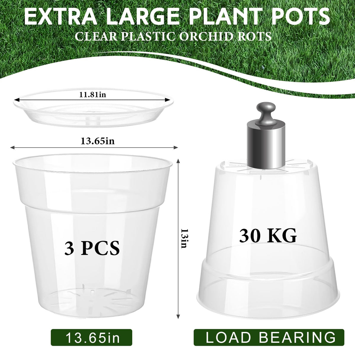Baderke transparent nursery pot ideal for orchids and succulents