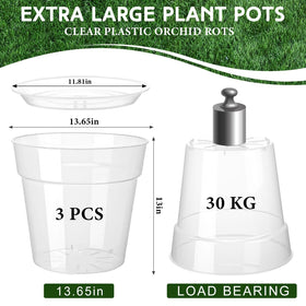 Baderke transparent nursery pot ideal for orchids and succulents