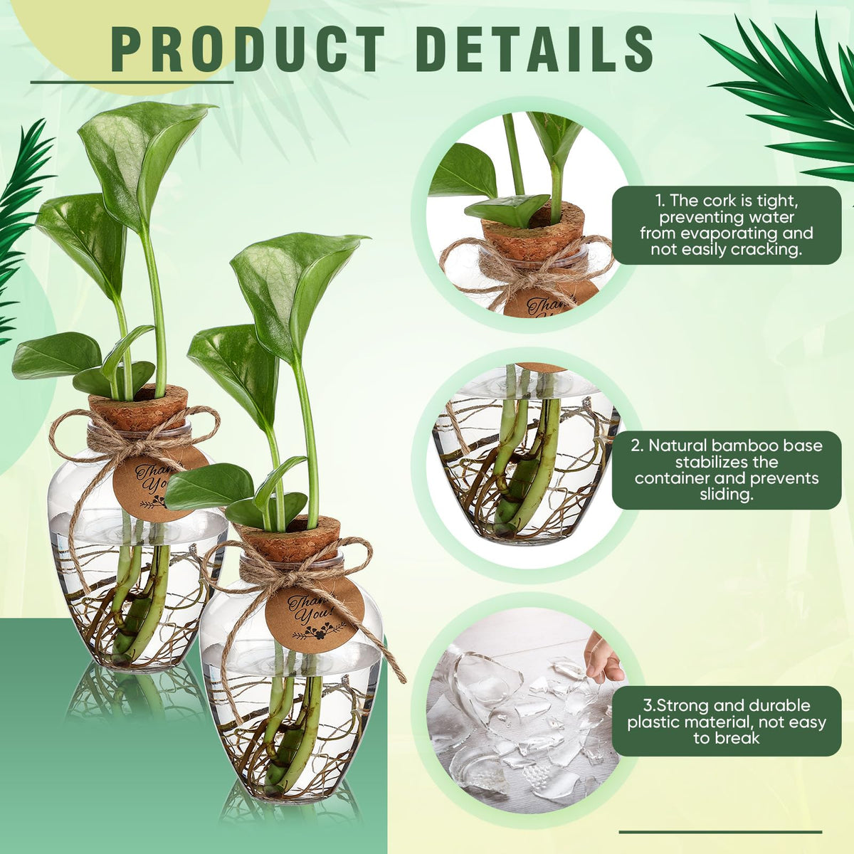 Baderke clear propagation jars let you watch water levels and roots