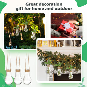 Compact-size Baderke propagation station fits small spaces.