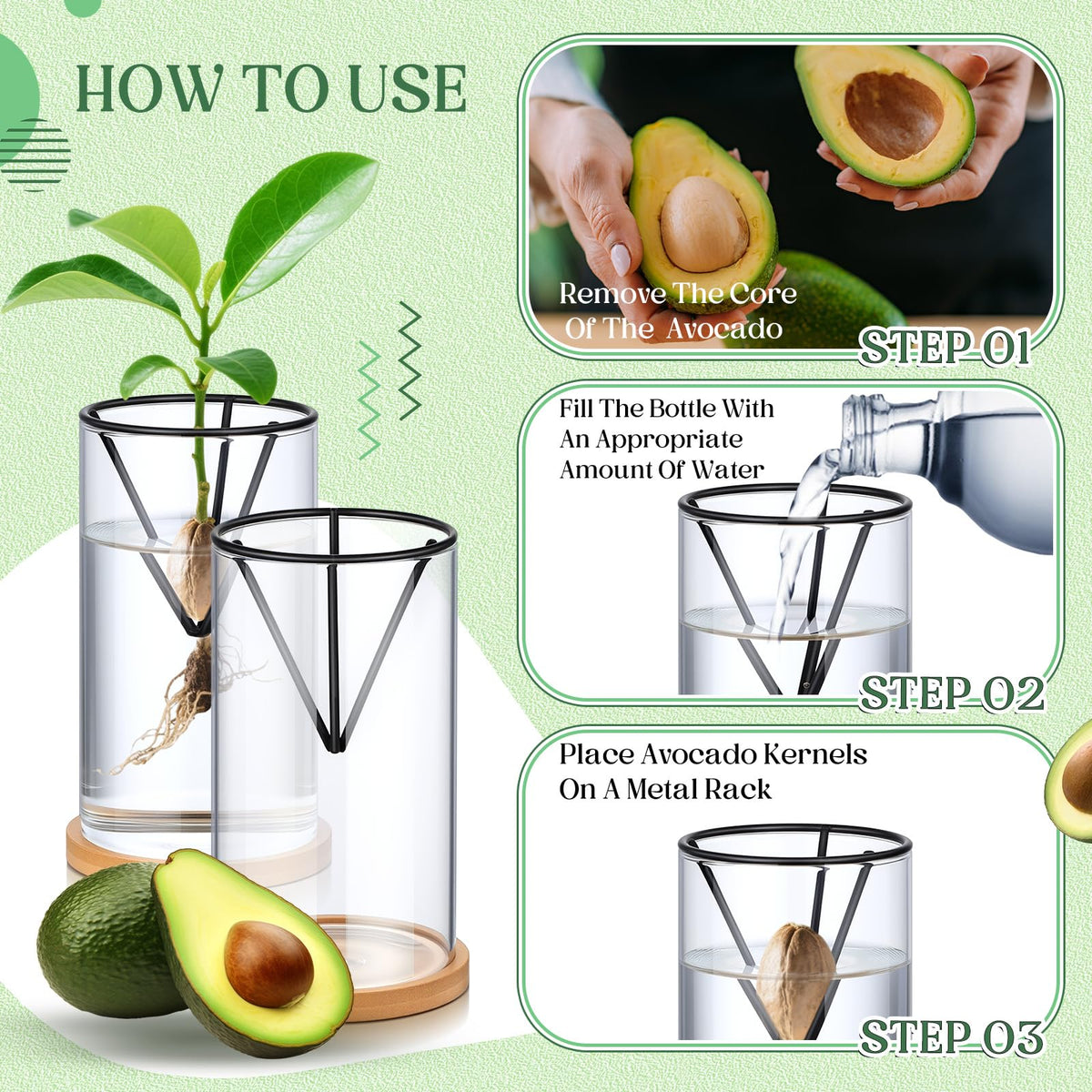 Baderke conical metal stand elevates seeds for easy observation.