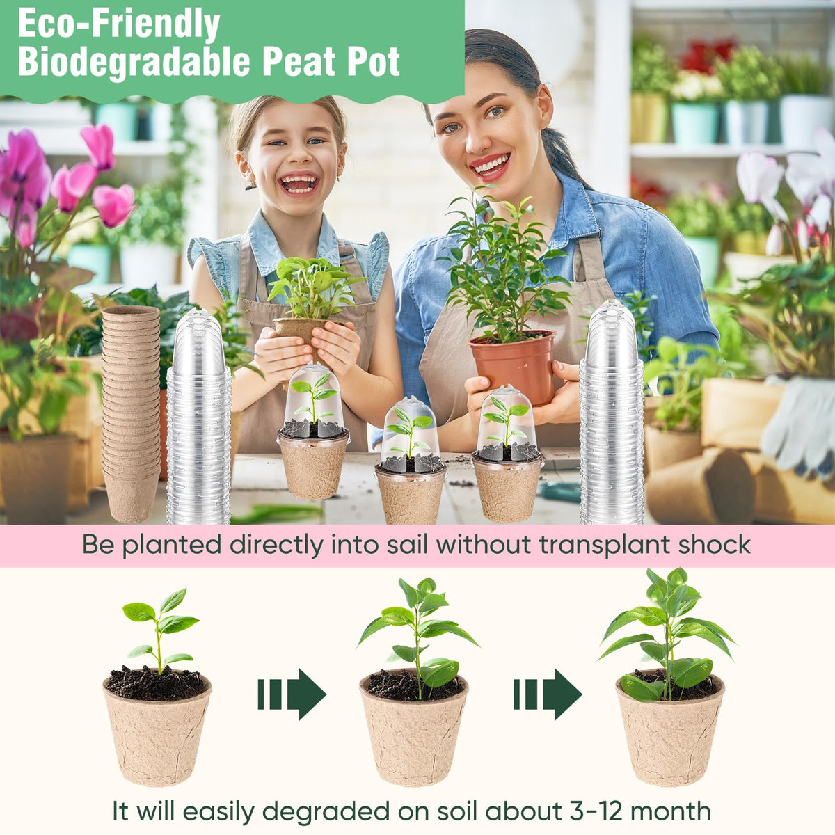 Baderke pots with drainage holes promote proper moisture management for seedlings.