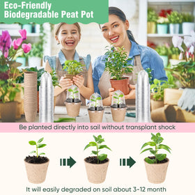 Baderke pots with drainage holes promote proper moisture management for seedlings.