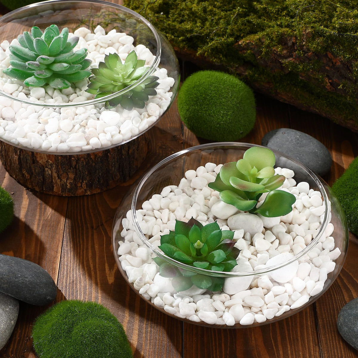 Baderke easy-clean glass planters, simple rinse and dry routine.
