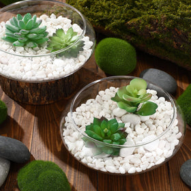 Baderke easy-clean glass planters, simple rinse and dry routine.