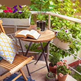 Baderke easy-repot glass planter makes transplanting mess-free.