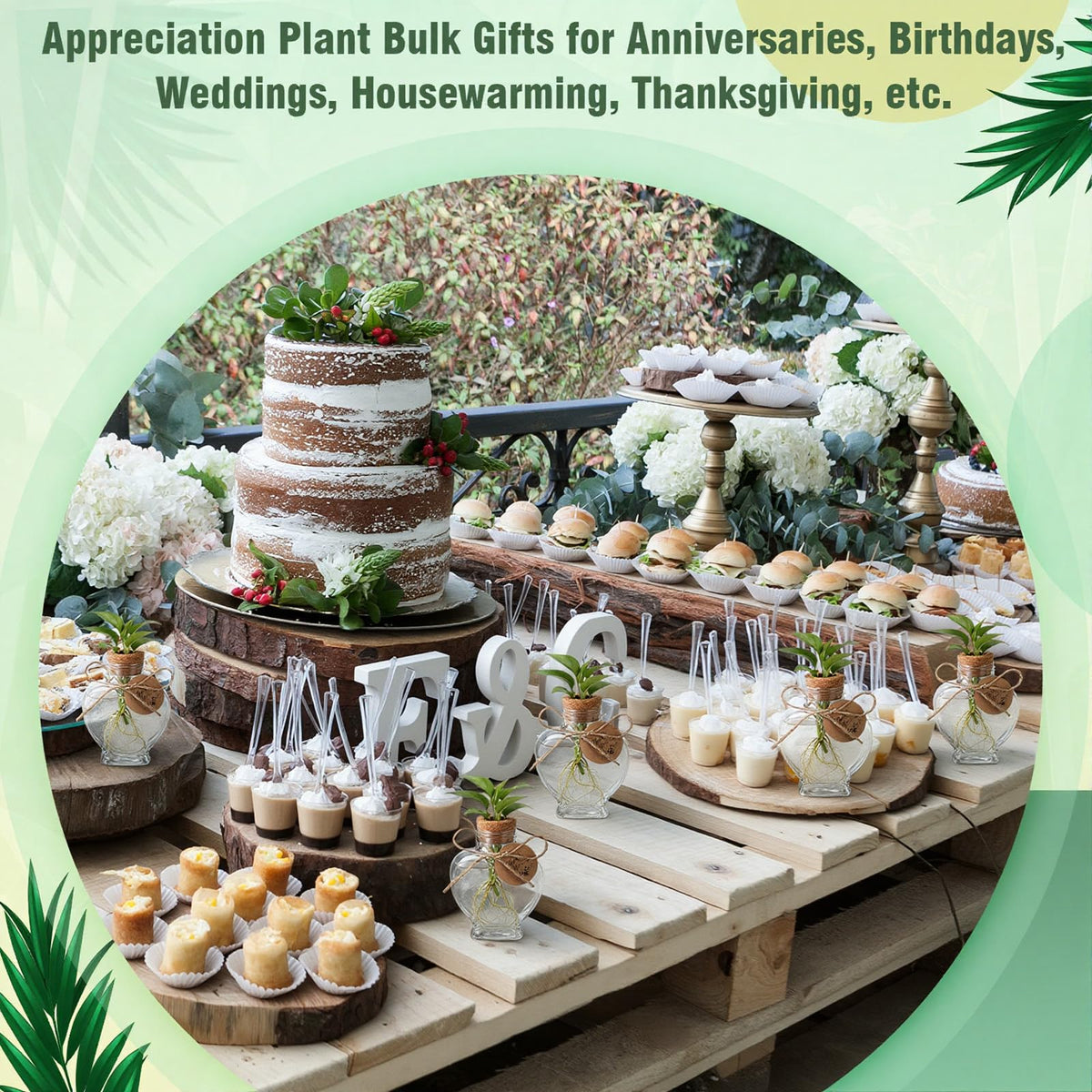 Baderke gift-ready plant propagation kit for plant lovers.