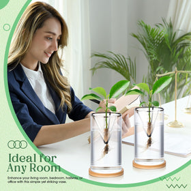 Baderke gift-ready propagation kit for plant lovers.