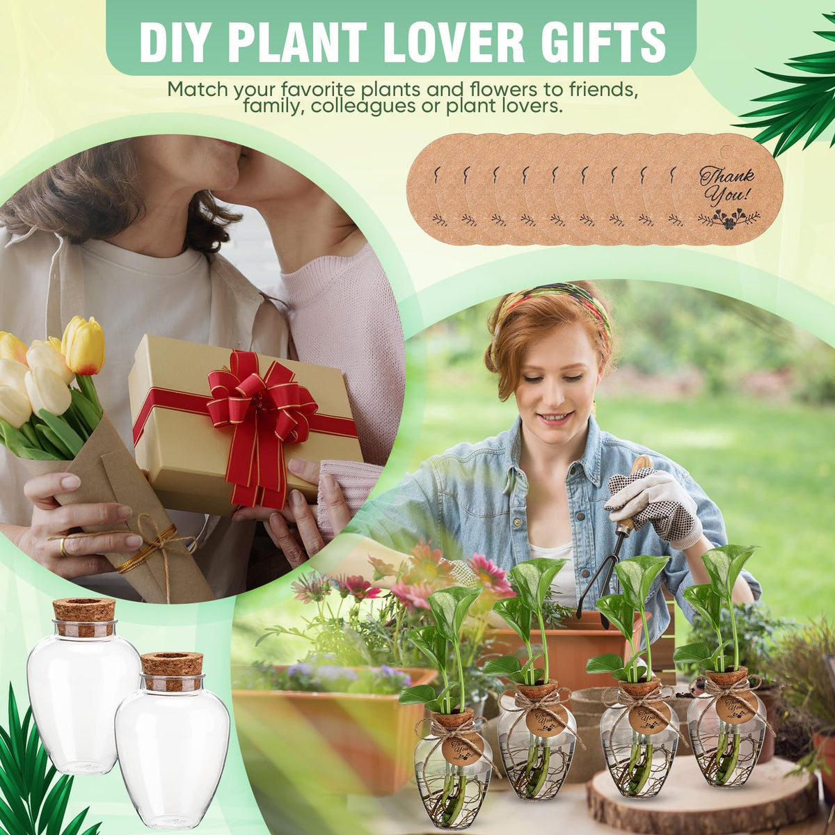 Baderke gift-ready propagation station for home, office, or classroom