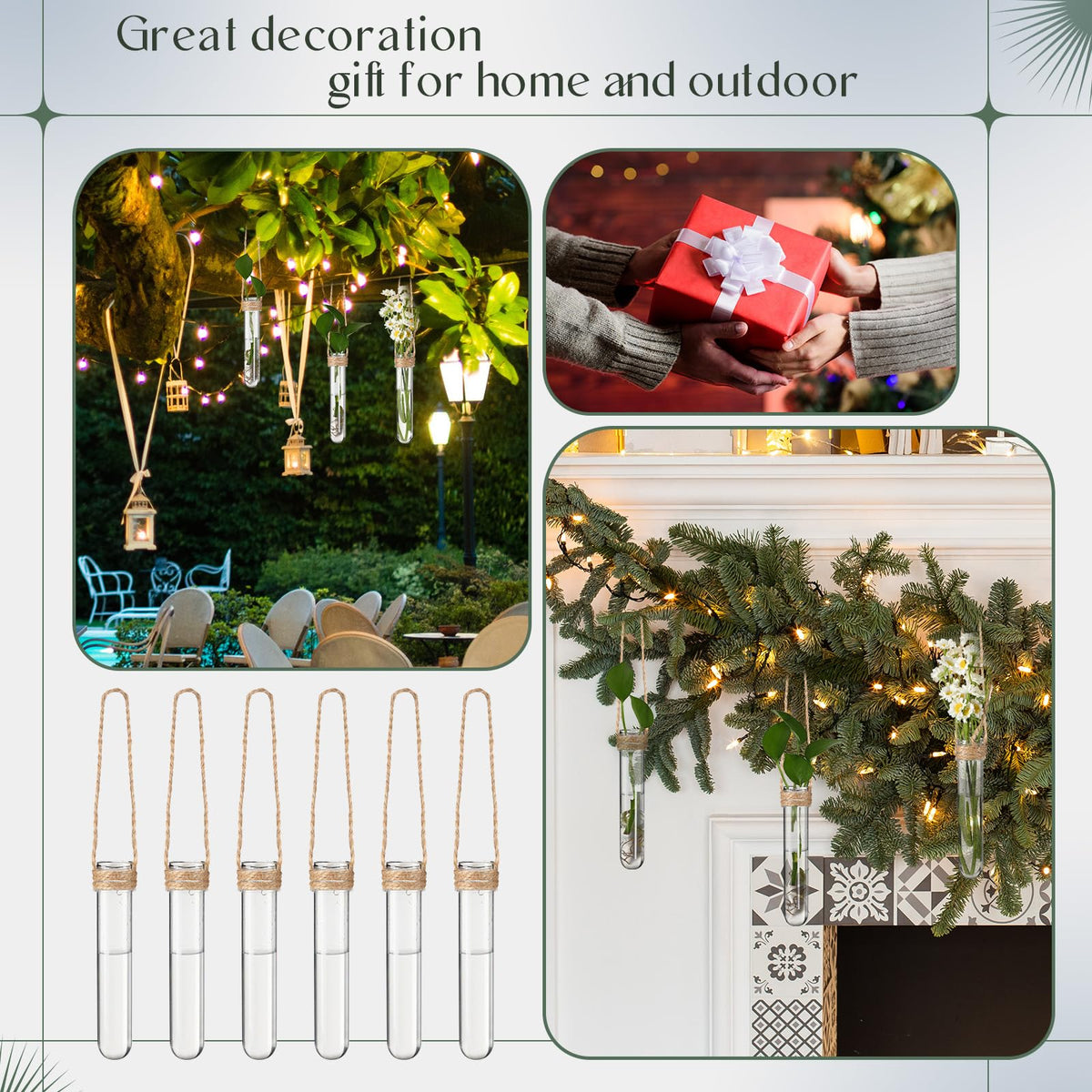 Baderke gift ready propagation tubes set ideal for plant lovers