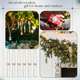 Baderke gift ready propagation tubes set ideal for plant lovers