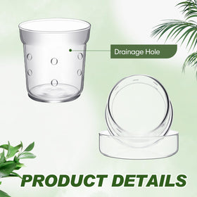 Baderke glass plant vase for indoor outdoor decor adds modern style.