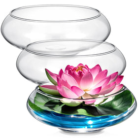 Baderke lotus bowl clear glass vase, front view, elegant display for aquatic plants.