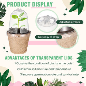 Baderke 3.15-inch opening pots fit a variety of seedlings and flowers.