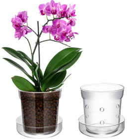 Baderke orchid pot with drainage holes and tray for clean water management.