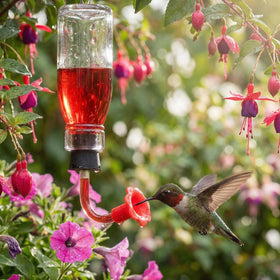 Baderke outdoor bird feeder parts keep gardens lively.