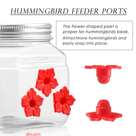 Baderke outdoor hanging feeder setup with red flowers