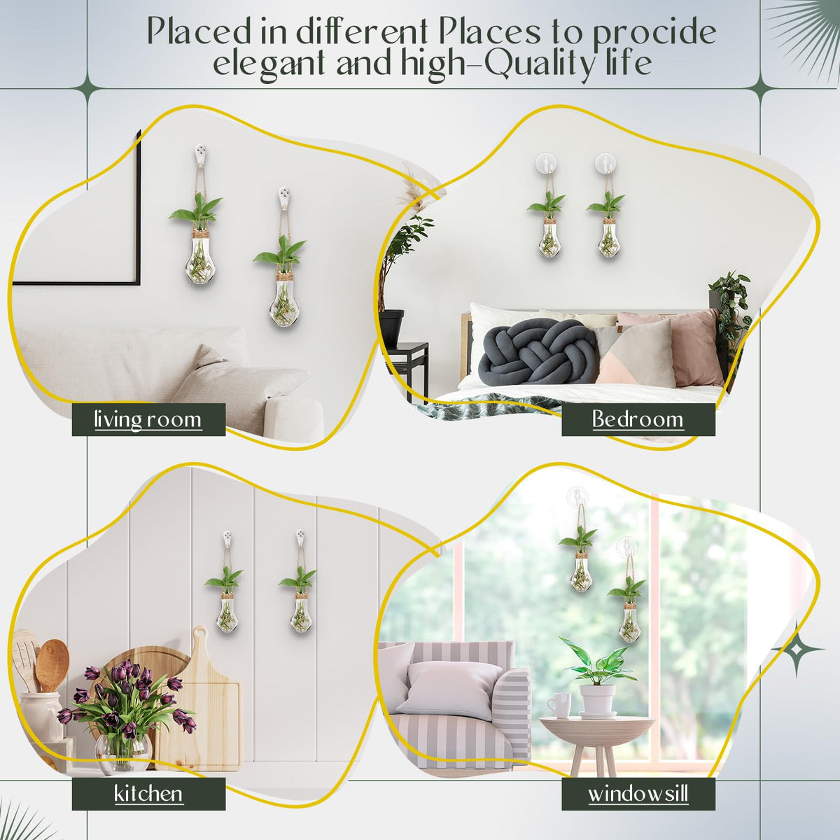 Baderke plant lover gift idea with modern home decor vibes.